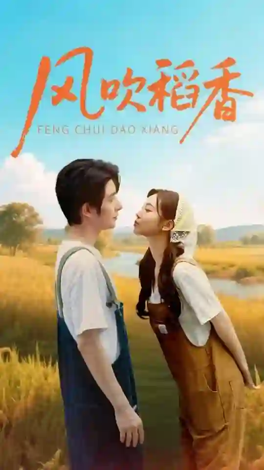 《风吹稻香》剧情深度解析与大结局剧透